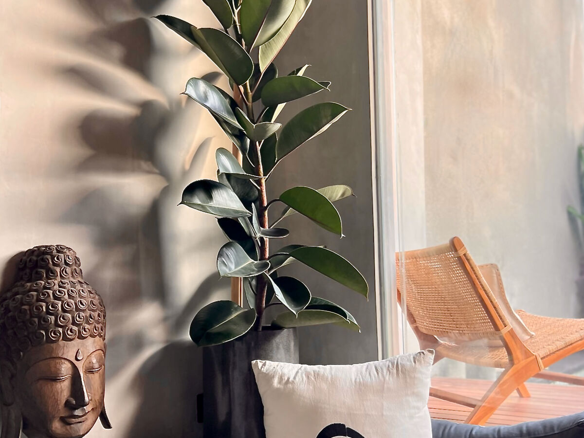 Living room detail